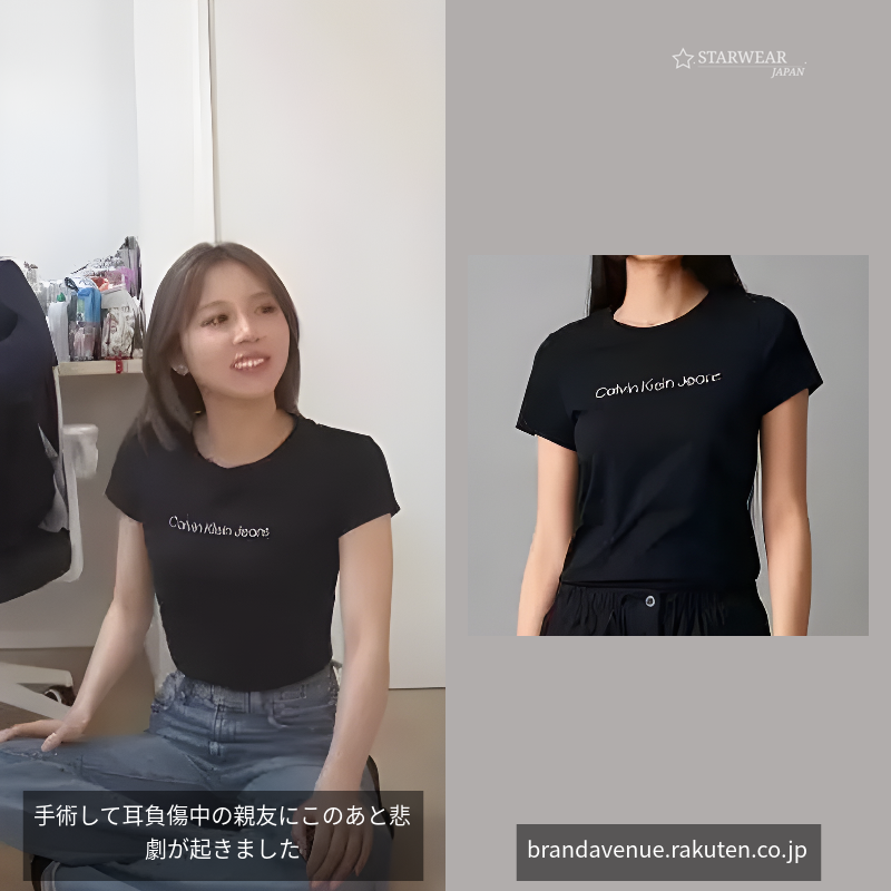 シュランクン インスティテューショナル Tシャツ