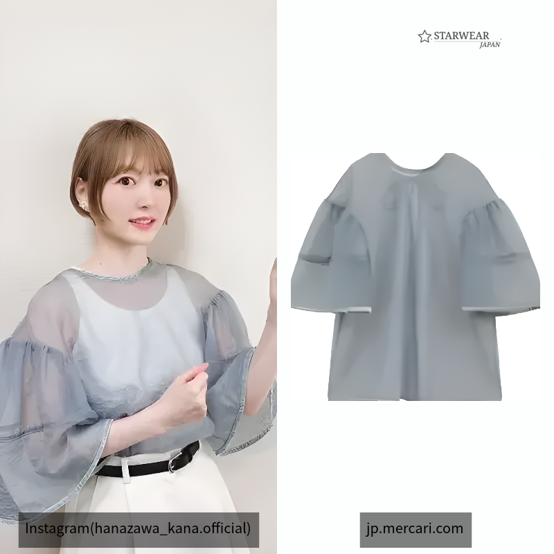 VELOR PIPING SHEER BLOUSE