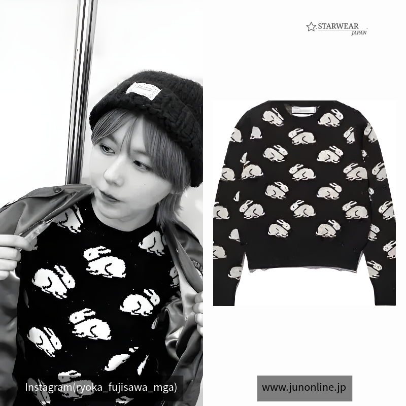 Rabbit Tite Pullover Knit