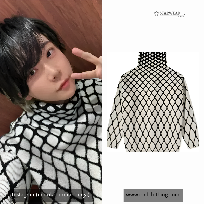Net Intarsia Turtle Neck Knit