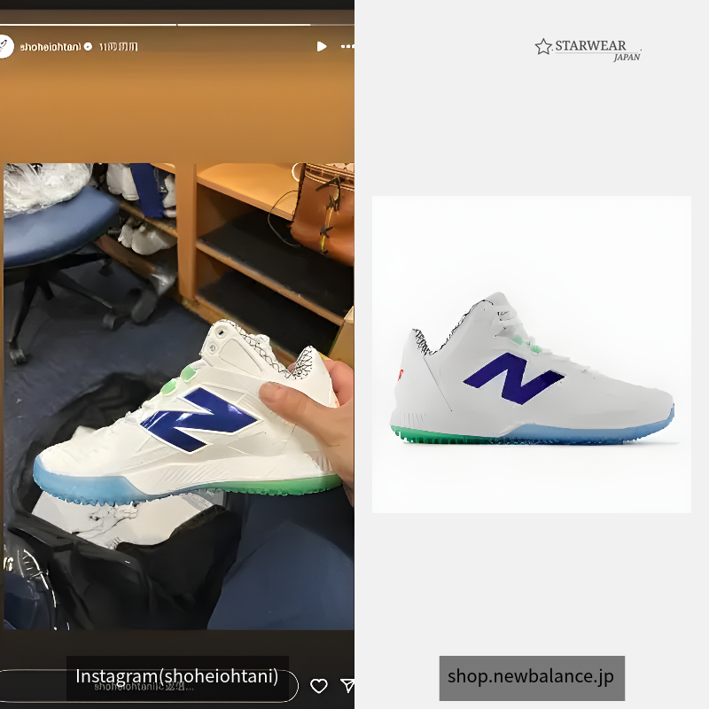 Ohtani 1 Trainer Lab Work